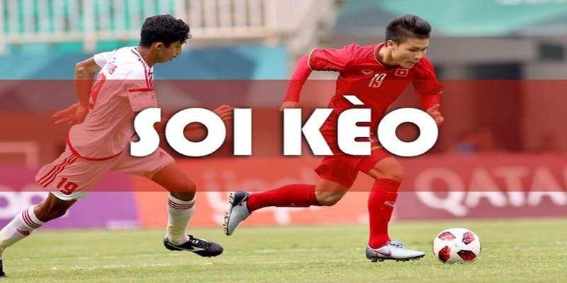 Soi kèo bóng đá hôm nay Các loại tỷ lệ cá cược phổ biến trong soi kèo bóng đá hôm nay