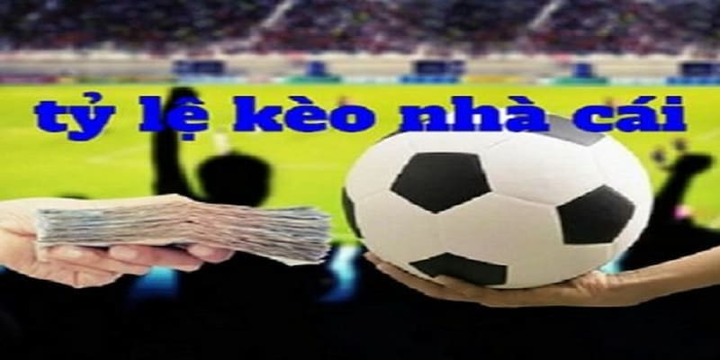 Tỷ lệ kèo hôm nay Các loại tỷ lệ kèo phổ biến trong tỷ lệ cá cược và cách đọc chuẩn xác