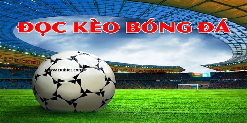 cách đọc tỷ lệ kèo Các loại tỷ lệ kèo phổ biến và cách đọc từng loại