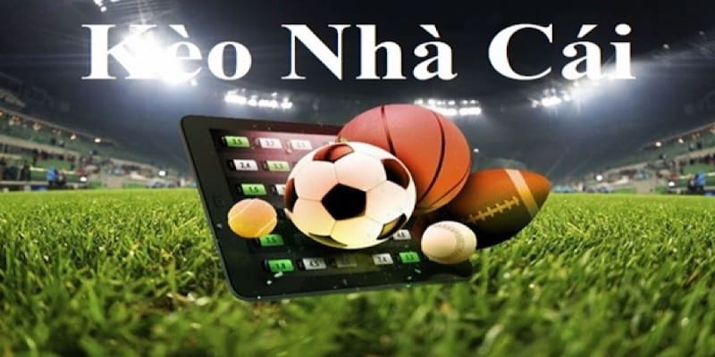 Kèo nhà cái hôm nay Cách tận dụng kèo nhà cái hôm nay để gia tăng tỷ lệ thắng cược