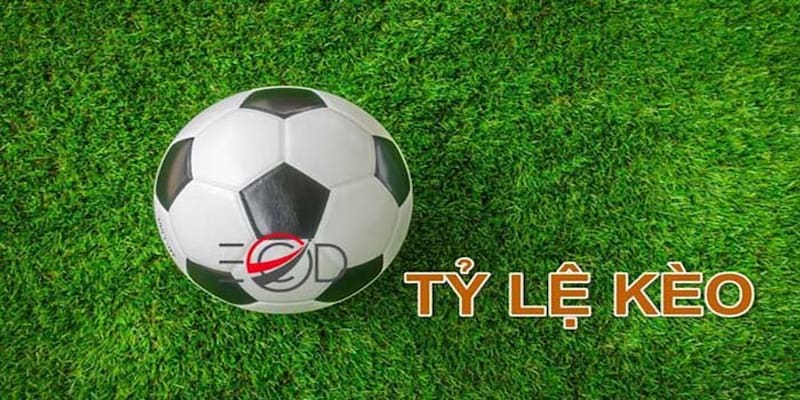 Tỷ lệ cá cược bóng đá Hiểu rõ về tỷ lệ cá cược bóng đá