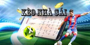 Hướng dẫn đọc kèo nhà cái hôm nay hiệu quả nhất