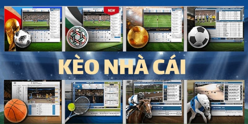 kèo nhà cái chuẩn Những sai lầm cần tránh khi lựa chọn kèo nhà cái chuẩn