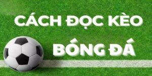 Tại sao Cách đọc tỷ lệ kèo lại quan trọng trong cá cược?