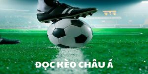 Tổng quan về tỷ lệ cá cược bóng đá châu á