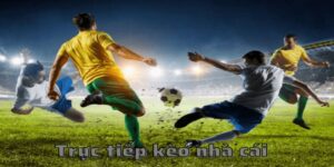 Vai trò của trực tiếp kèo nhà cái trong cá cược bóng đá